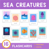 Sea Creatures Flashcard Set • 16 Cards • Printable and Dig