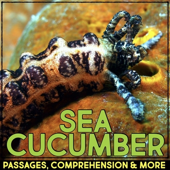 Preview of Sea Cucumber Animal Research Nonfiction Reading Passage & Comprehension
