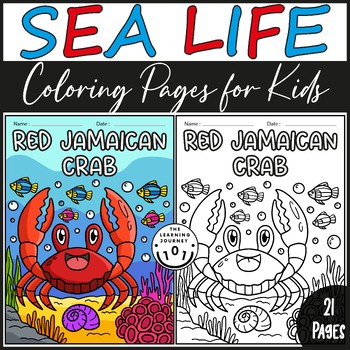 Preview of Sea Life Coloring Pages for Kids | 21 Ocean and Aquatic Animal Names