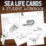 Sea Life Drawing Task Cards, Art Sub Plans, High & Middle 