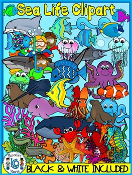 Preview of Sea Life, Sea Animals, Ocean Animals Clipart Graphics-171 images-Commercial Use