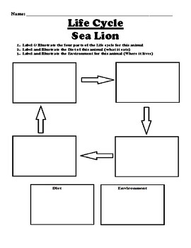 Sea Lion "Life Cycle" Worksheet by BAC Education | TPT