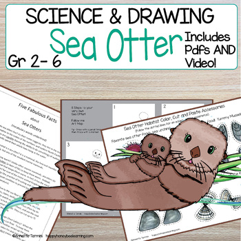 Sea Otter Directed Drawing | Science | Animal Classification | Pdf | Video