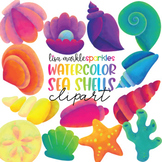 Sea Shell Clipart Watercolor Rainbow - Beach Ocean Summer Clipart