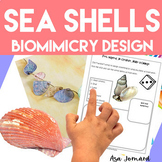 Sea Shells | PBL  Biomimicry Design Inspired by Nature Com