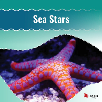 Preview of Sea Stars