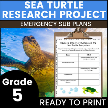 Preview of Sea Turtle 5th Grade Emergency Sub Plans Math English Science Substitute Binder