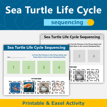 Preview of Sea Turtle Animal Life Cycle Science Sequencing Activity 