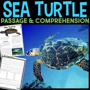 Preview of Sea Turtle Animal Research Reading Passage & Comprehension Activities Life Cycle