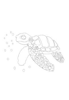 Preview of Sea Turtle Art Printable( book pairing Rachel Carson)