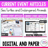 Sea Turtle Article and Endangered Animal Facts-Digital AND Paper