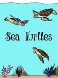 Sea Turtle Conservation