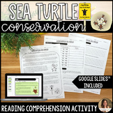 Sea Turtle Conservation Reading Comprehension Activity - E