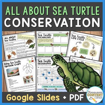 Preview of Sea Turtle Conservation | Research, Craft, & Activities + Digital Google Slides