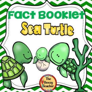 Preview of Sea Turtle Fact Booklet | Nonfiction | Comprehension | Craft