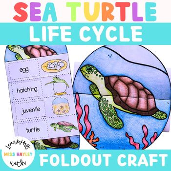 Preview of Sea Turtle Foldout Life Cycle Craft