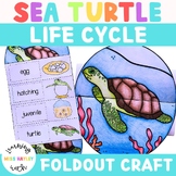 Sea Turtle Foldout Life Cycle Craft