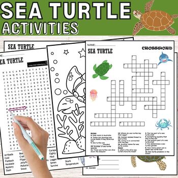 Preview of Sea Turtle Fun Worksheets,Puzzles,Coloring,Wordsearch & Crosswords