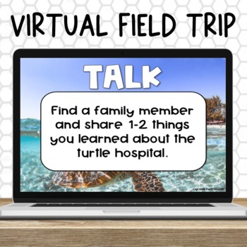 turtle hospital virtual field trip