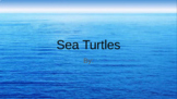 Sea Turtle Informational Writing