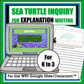 Preview of Informational Writing Research Project Exploring Sea Turtles & Environment