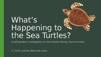 Preview of Sea Turtle Investigation
