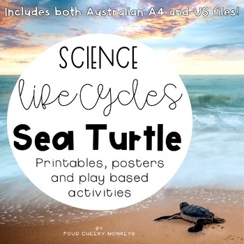Preview of Sea Turtle Life Cycle | Activities and Printables