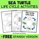 Sea Turtle Life Cycle Activities + FREE Spanish