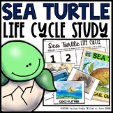 Sea Turtle Life Cycle | Centers, Activities and Worksheets