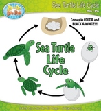 Sea Turtle Life Cycle Clipart {Zip-A-Dee-Doo-Dah Designs}