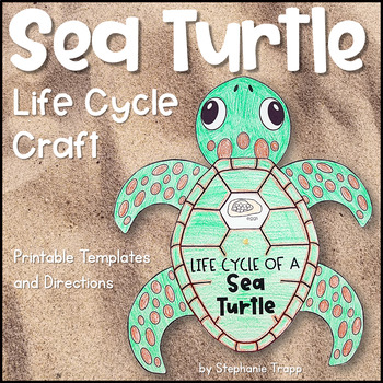 Preview of Sea Turtle Life Cycle Craft