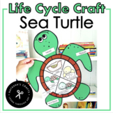 Sea Turtle Life Cycle Craft