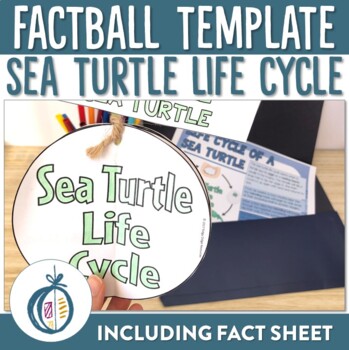 Preview of Sea Turtle Life Cycle Factball and Fact Sheet