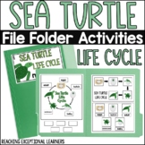 Sea Turtle Life Cycle File Folder Activities