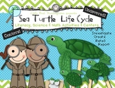 Sea Turtle Life Cycle Literacy, Science & Math Activities 