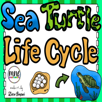 Preview of Sea Turtle Life Science Cycle Pack Flip Book Included 2nd Grade