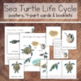 Sea Turtle Life Cycle Pack