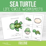 Sea Turtle Life Cycle Worksheets - FREEBIE