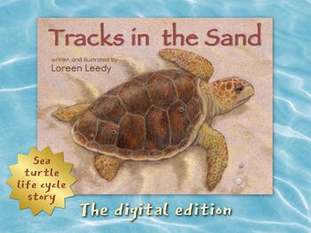 Preview of Sea Turtle Life Cycle Book + Activities
