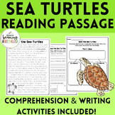 Reading Comprehension Sea Turtle Passage and Writing Activity