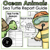 Sea Turtles Report Guide