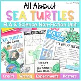 Sea Turtle Reptile Science Unit - Life Cycle Craft - Ocean