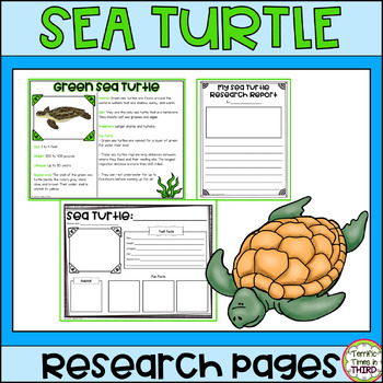 Preview of Sea Turtle Research: Informational Reading and Writing Pages