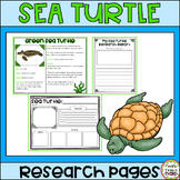 Sea Turtle Research: Informational Reading and Writing Pages