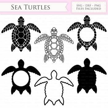 Turtle SVG, PNG, PDF, Layered Turtles SVG