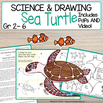 Sea Turtle Directed Drawing | Animal Classification | Centers | Pdf | Video