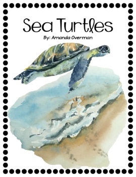 Preview of Sea Turtle Study