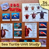 Sea Turtle Unit Study, All About Sea Turtles, Sea Turtle N