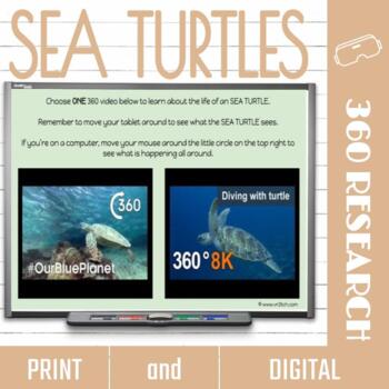 Preview of Sea Turtle Virtual Field Trip