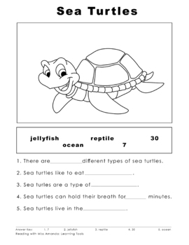 Preview of Sea Turtle Worksheet